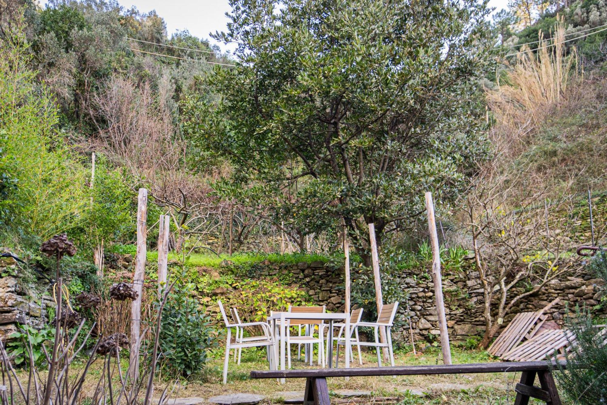 Il Limoneto Dei Cinque Sensi,Apartment With Garden Βερνάτσα Εξωτερικό φωτογραφία
